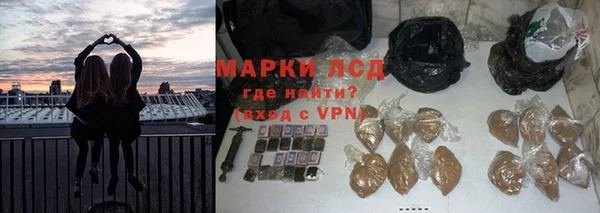 эйфоретик Белокуриха