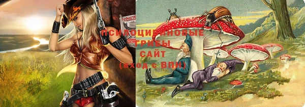 эйфоретик Белокуриха